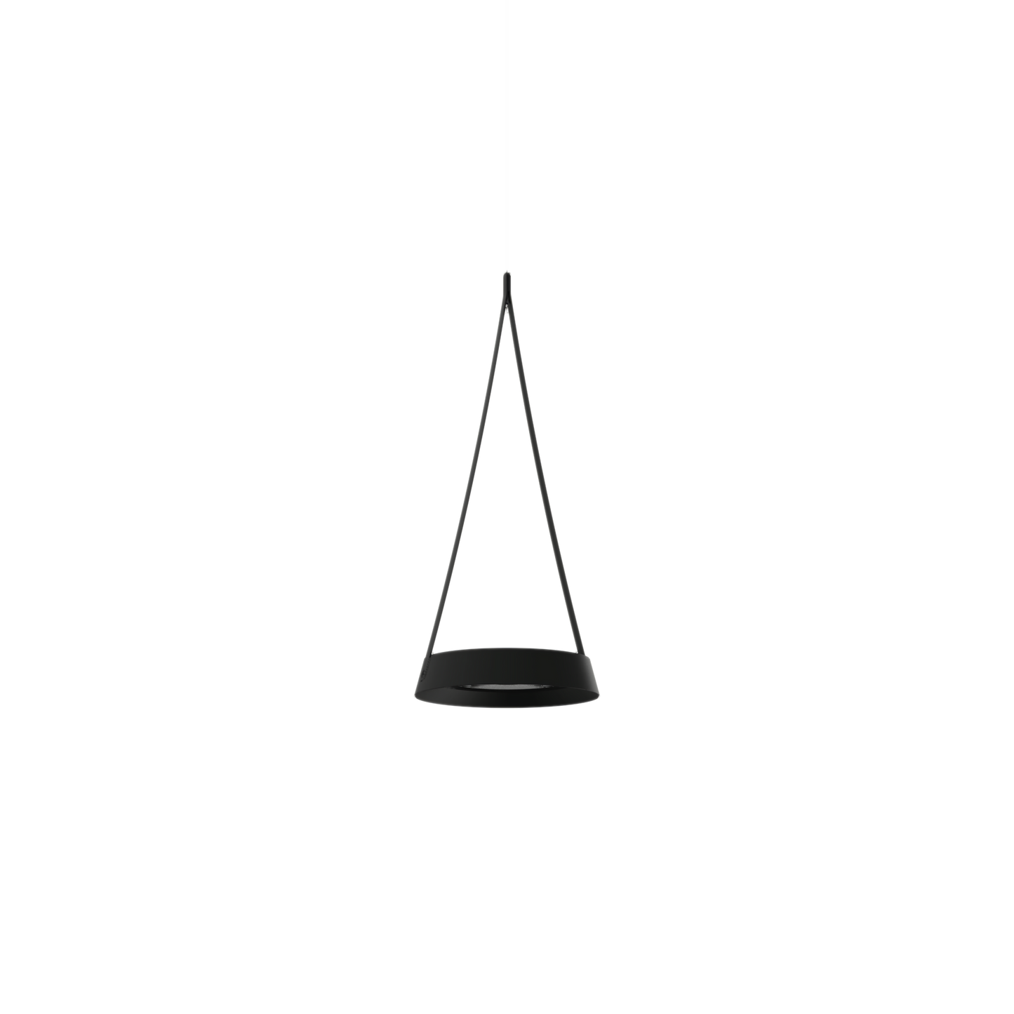 Torus Fly