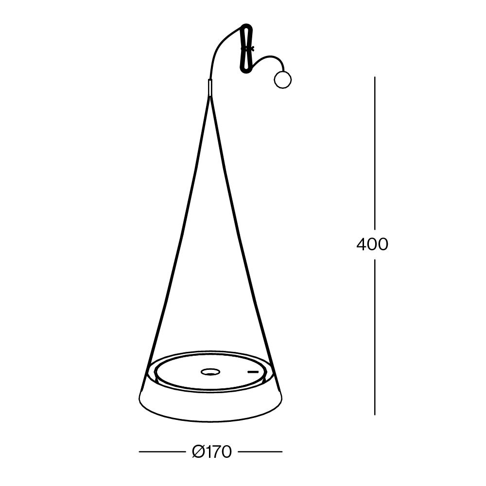 Torus Fly