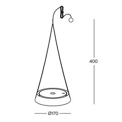 Torus Fly