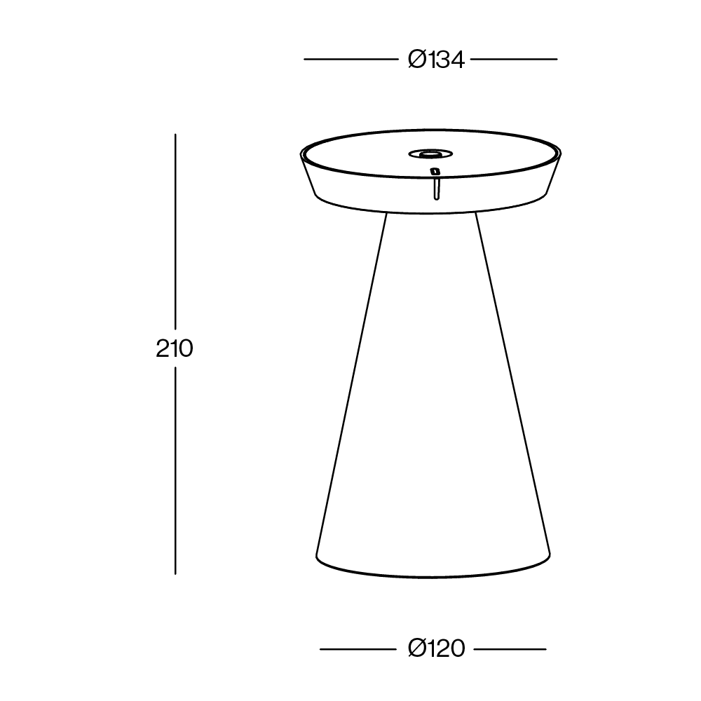 Torus Glass