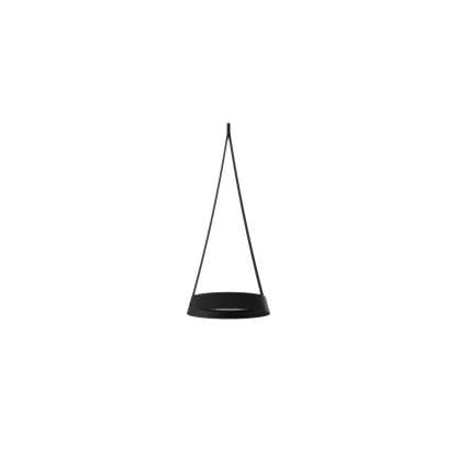 Torus Fly